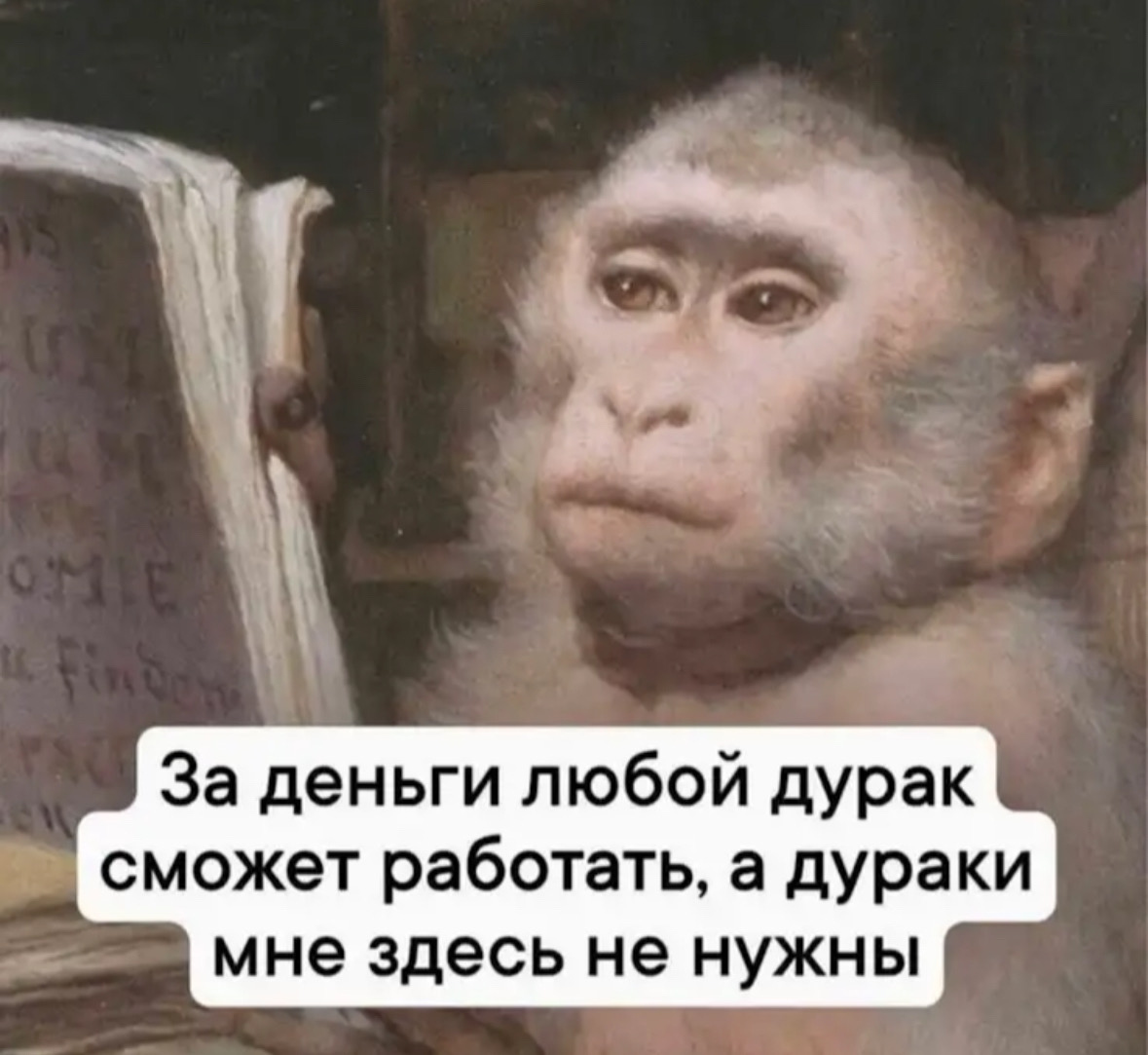 За деньги любой дурак сможет работать, а дураки мне здесь не нужны