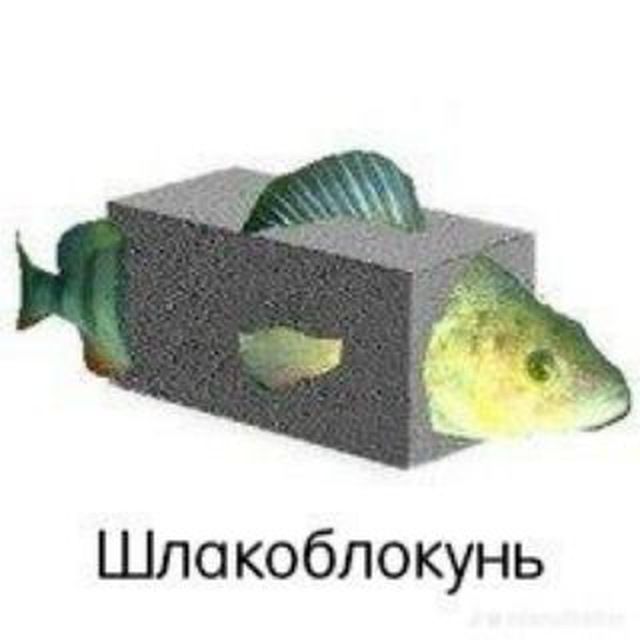 Шлакоблкунь