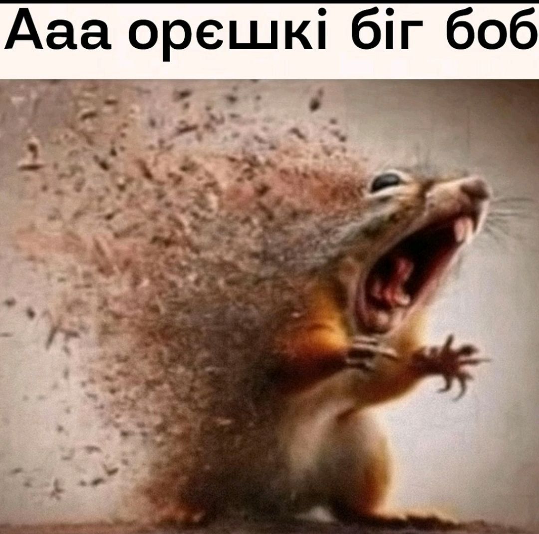 Ааa орешкі біг боб