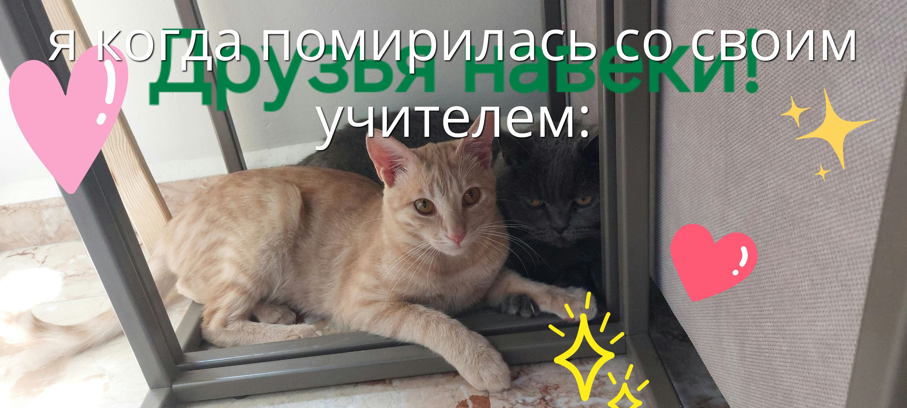 я когда помирилась со своим учителем: Друзья навеки!