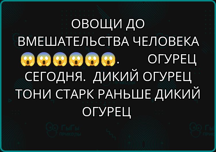 ОВОЩИ ДО СМЕШАТЕЛЬСТВА ЧЕЛОВЕКА 😱😱😱😱😱 ОГУРЕЦ СЕГОДНЯ. ДИКИЙ ОГУРЕЦ ТОНЫ СТАРК РАНЬШЕ ДИКИЙ ОГУРЕЦ