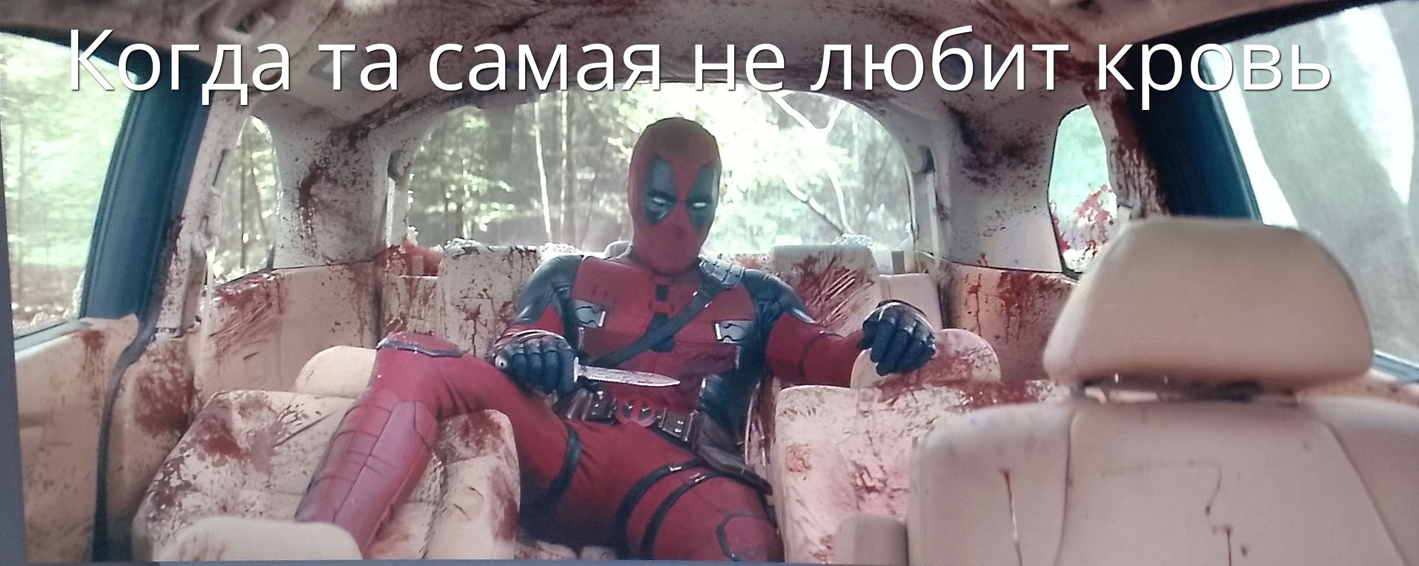 Когда та самая не любит кровь
