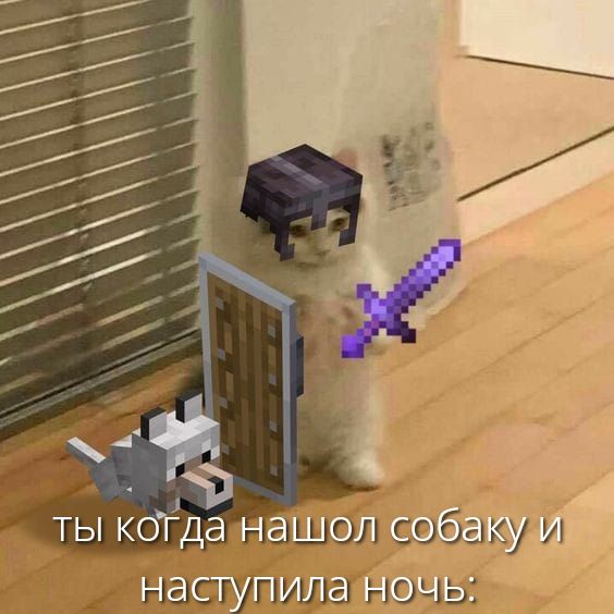 ты когда нашёл собаку и наступила ночь: