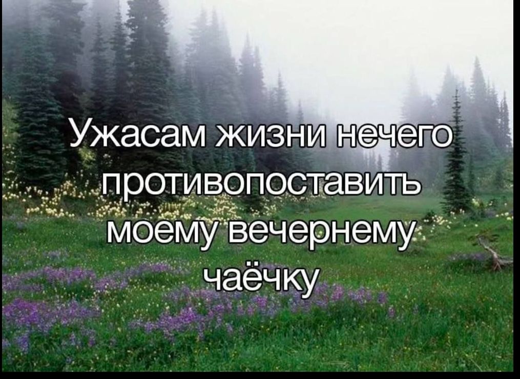 Ужасам жизни нечего противопоставить моему вечернему чаёчку