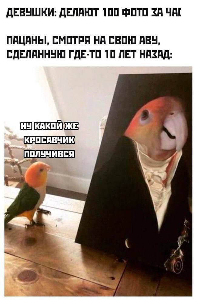 ДЕВУШКИ: ДЕЛАЮТ 100 ФОТО ЗА ЧАС ПАЦАНЫ, СМОТРЯ НА СВОЮ АВУ, СДЕЛАННУЮ ГДЕ-ТО 10 ЛЕТ НАЗАД: НУ КАКОЙ ЖЕ КРОСАВЧИК ПОЛУЧИЛСЯ