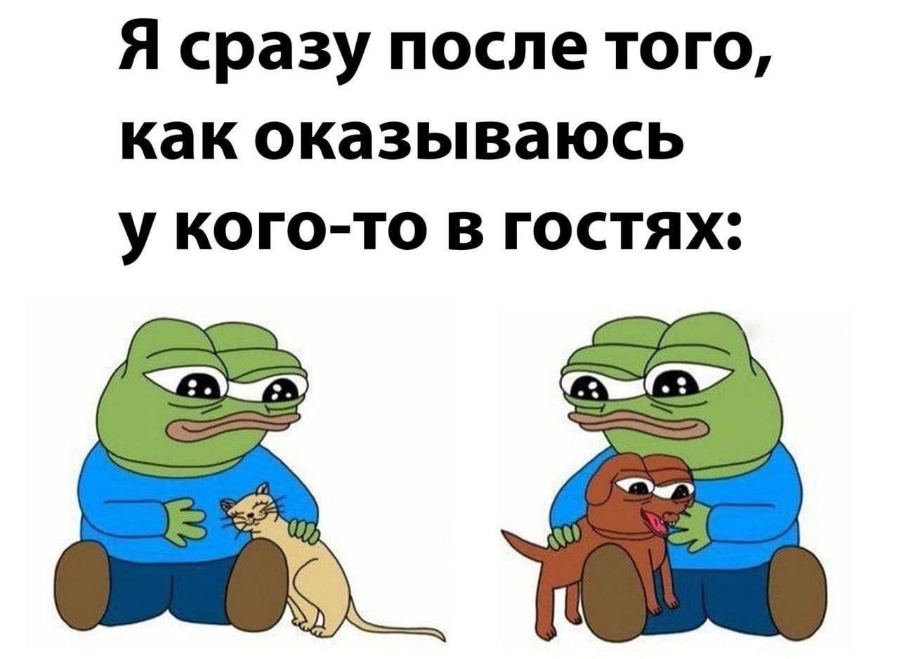 Я сразу после того, как оказываюсь у кого-то в гостях: