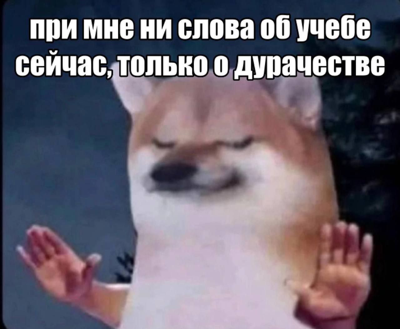 при мне ни слова об учебе сейчас, только о дурачестве