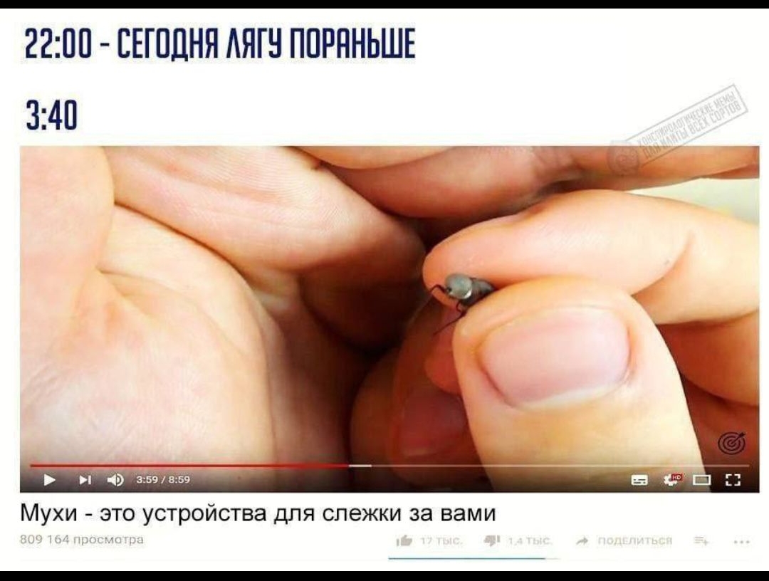22:00 - СЕГОДНЯ ЛЯГУ ПОРАНЬШЕ 3:40
Мухи - это устройства для слежки за вами