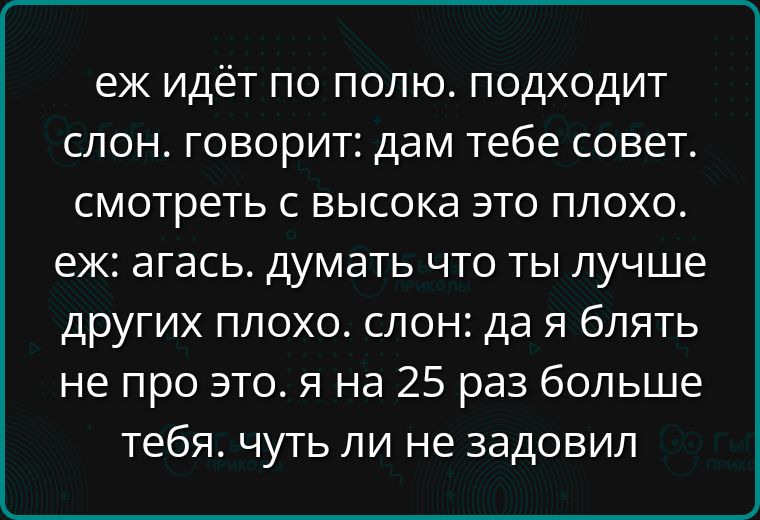 еж идет по полю. подходит слон. говорит: дам тебе совет. смотреть с высока это плохо. еж: ага. думать что ты лучше других плохо. слон: да я блять не про это. я на 25 раз больше тебя. чуть ли не зазадовил.