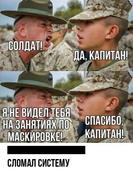 СОЛДАТ! ДА, КАПИТАН! Я НЕ ВИДЕЛ ТЕБЯ НА ЗАНЯТИЯХ ПО МАСКИРОВКЕ! СПАСИБО, КАПИТАН! СЛОМАЛ СИСТЕМУ