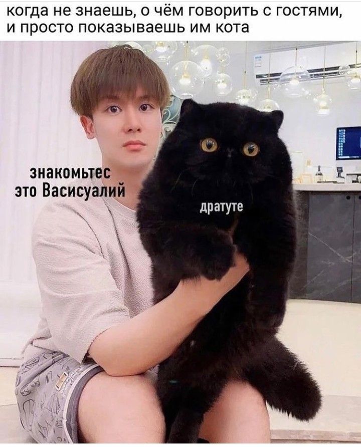 когда не знаешь, о чём говорить с гостями, и просто показываешь им кота
знакомьтесь, это Василий
дратуйте
