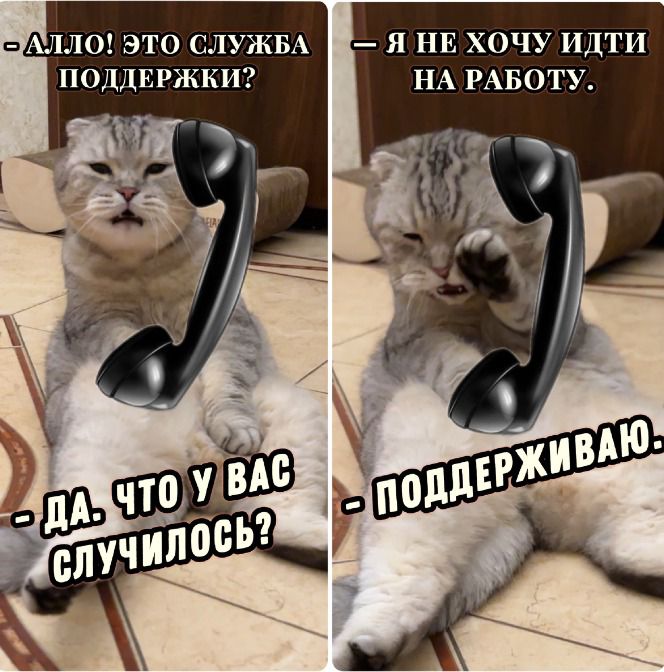 – Алло! Это служба поддержки? 
– Да. Что у вас случилось? 
– Я не хочу идти на работу. 
– Поддерживаю.
