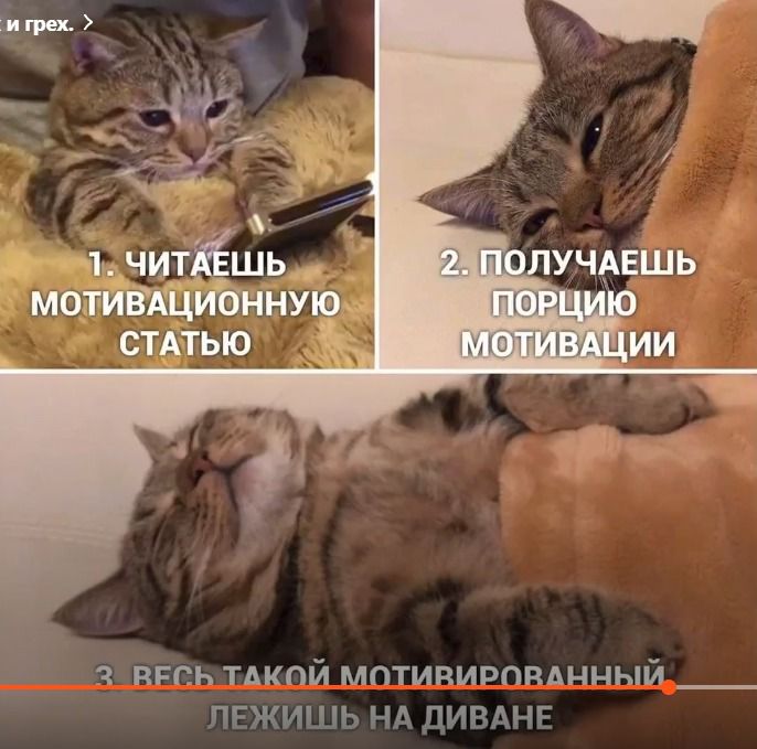 1. Читаешь мотивационную статью
2. Получаешь порцию мотивации
3. Весь такой мотивированный лежишь на диване