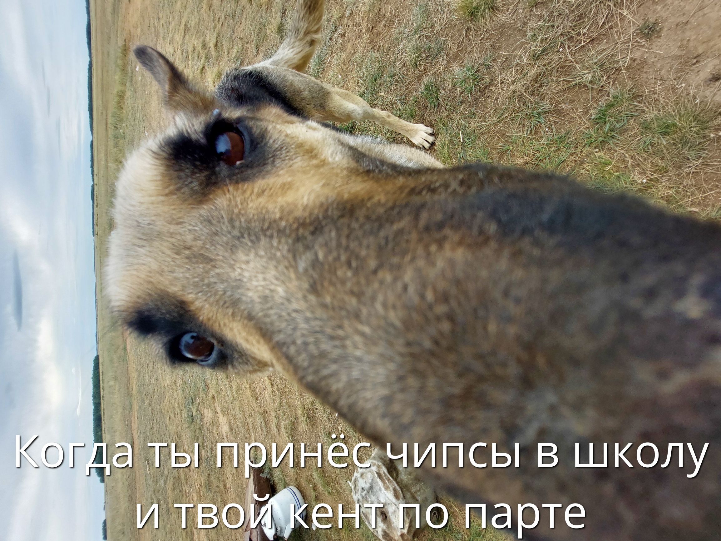 Когда ты принёс чипсы в школу и твой кент по парте