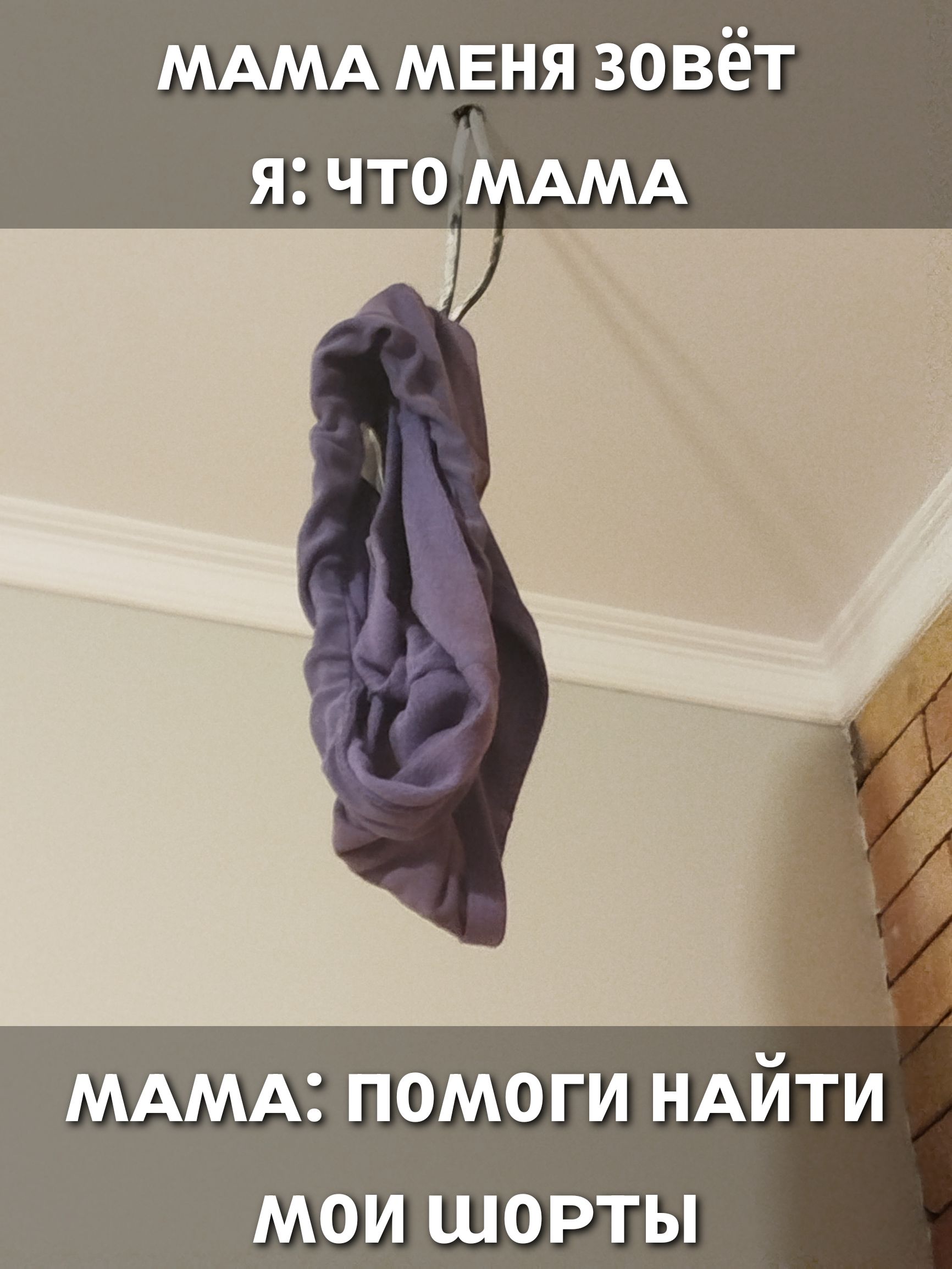 Мама меня зовёт
Я: что мама
Мама: помоги найти мои шорты