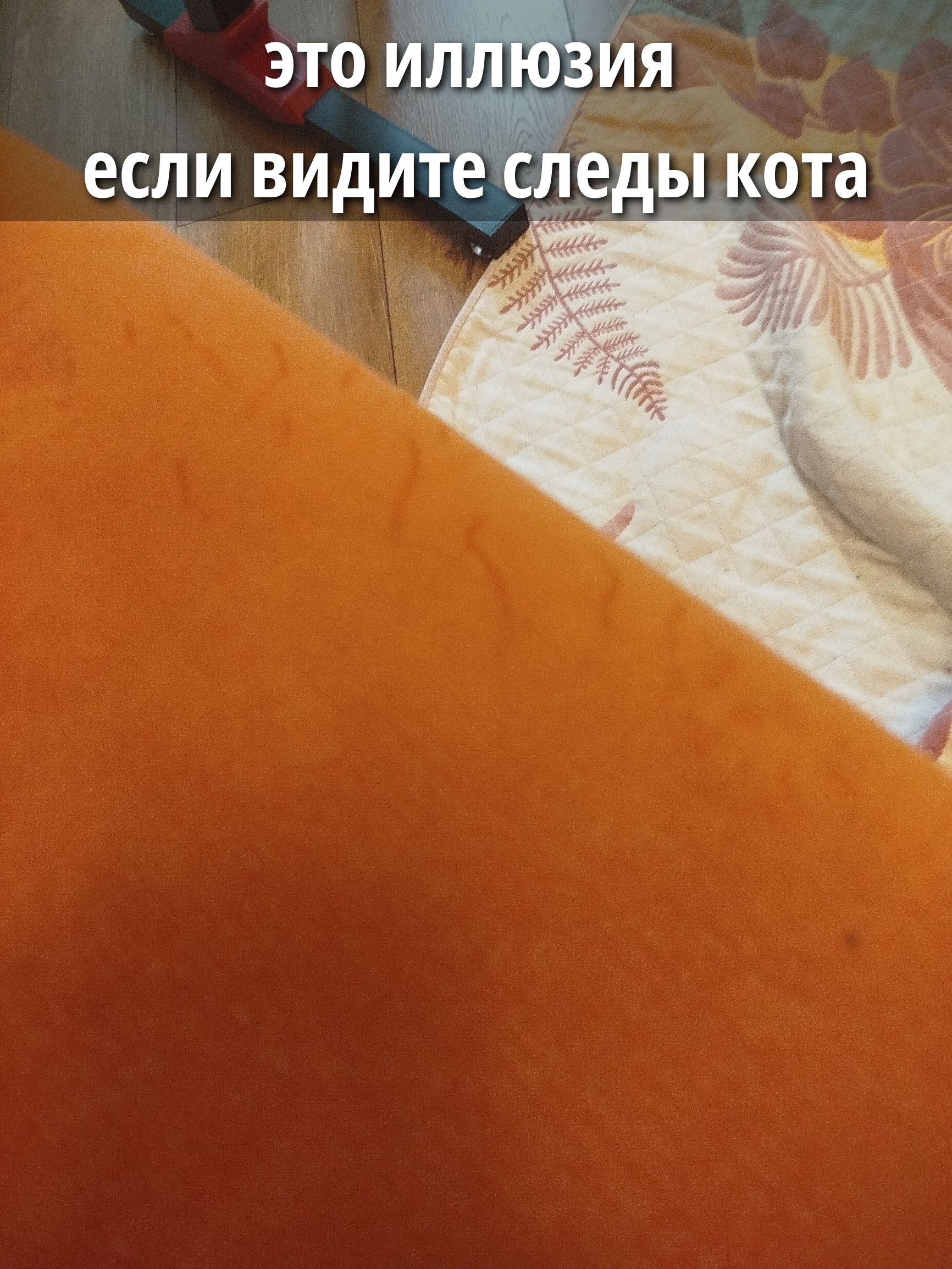 ЭТО ИЛЛЮЗИЯ
если видите следы кота