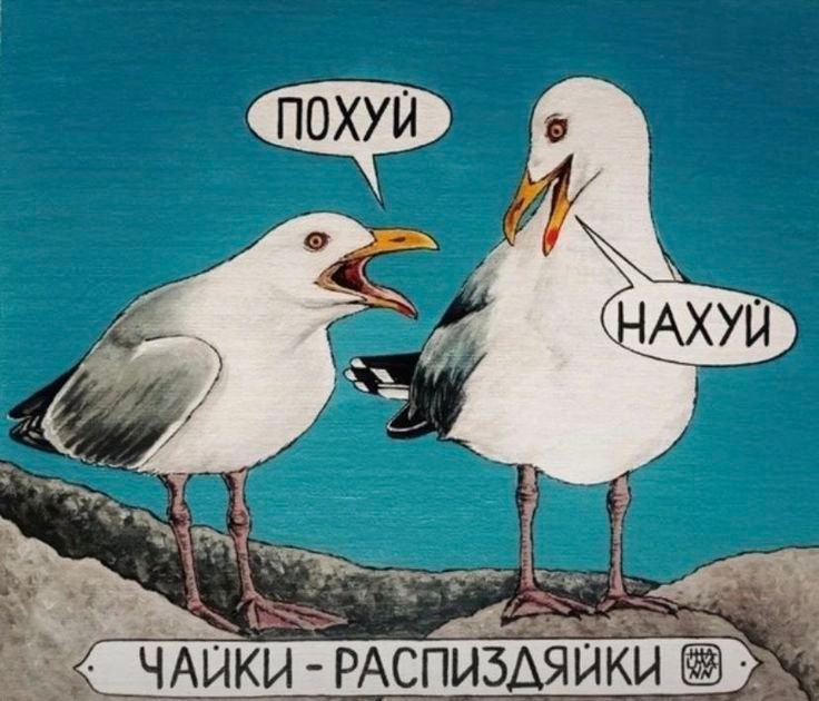 ПОХУЙ
НАХУЙ
ЧАЙКИ - РАСПИЗДЯЙКИ