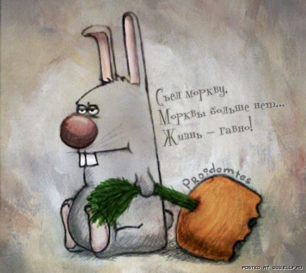 Съел Морковку. Морковы больше нет... Жизнь - гавно!