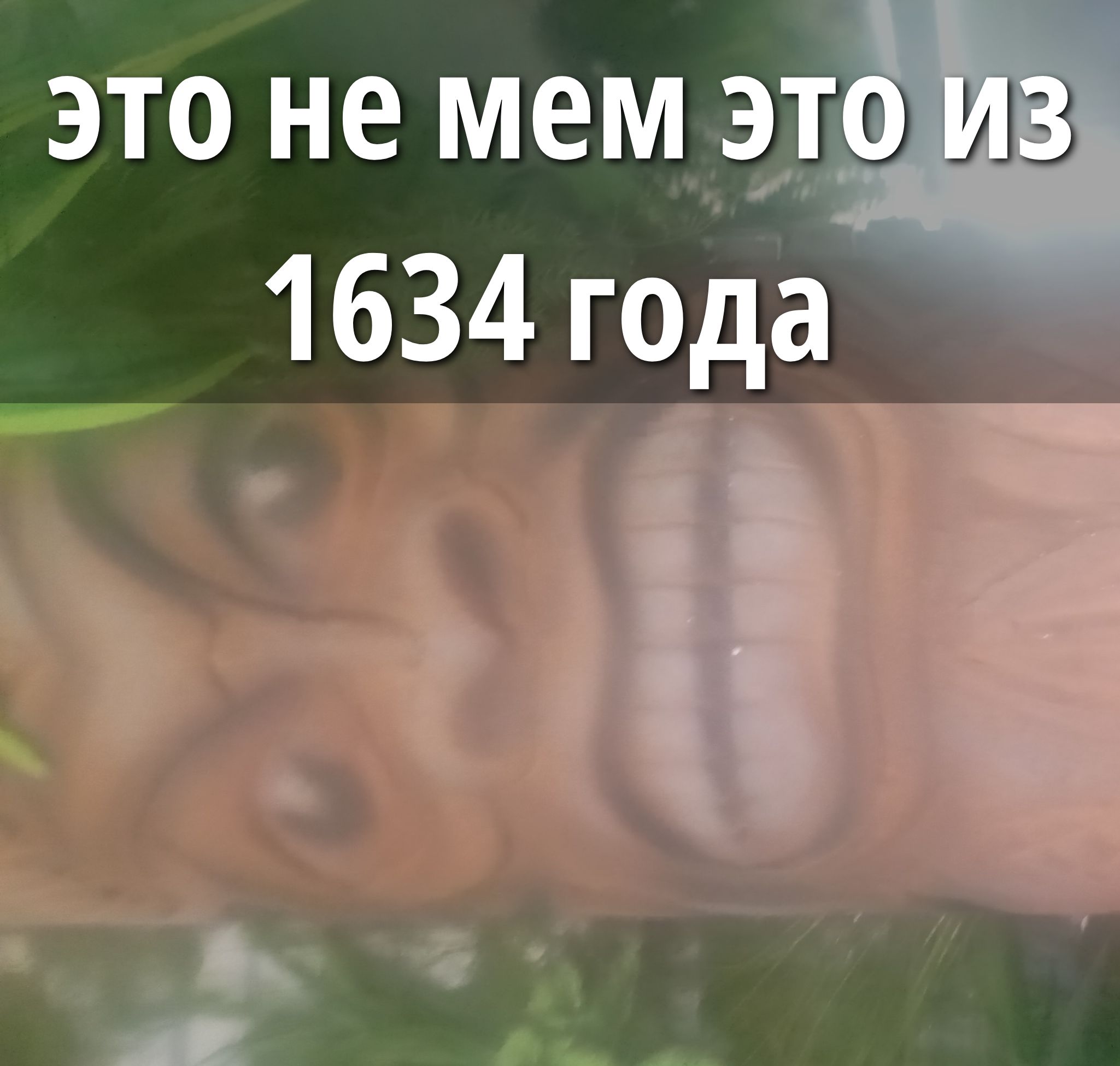 ЭТО НЕ МЕМ ЭТО ИЗ 1634 года