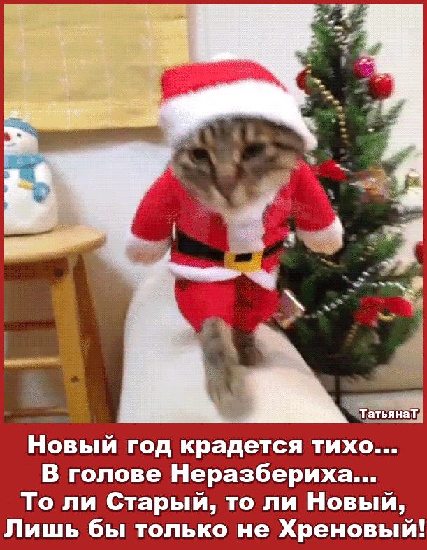 Новый год крадется тихо... В голове Неразбериха... То ли Старый, то ли Новый, Лишь бы только не Хреновый!