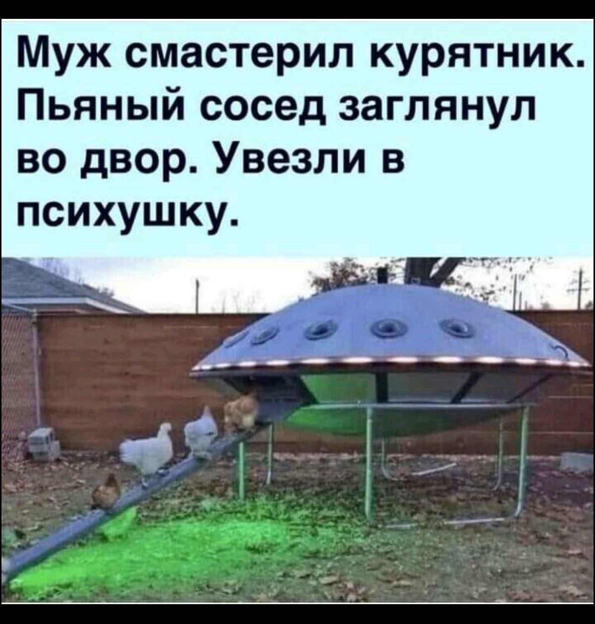 Муж смастерил курятник. Пьяный сосед заглянул во двор. Увезли в психушку.