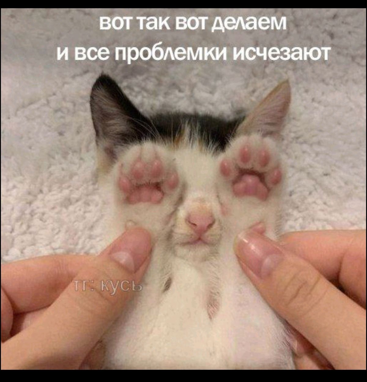 вот так вот делаем и все проблемки исчезают