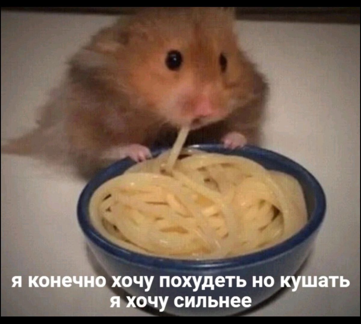 я конечно хочу похудеть но кушать я хочу сильнее