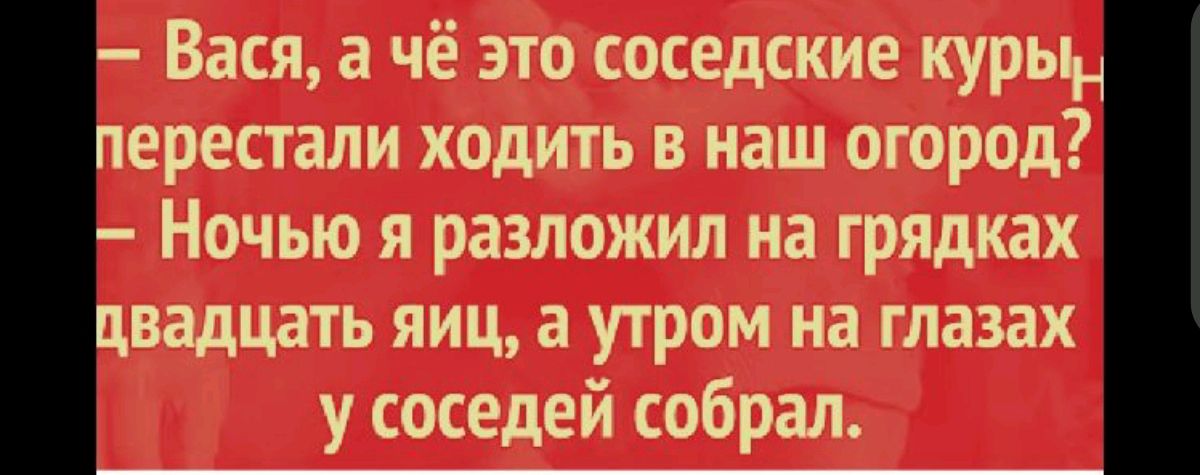 — Вася, а чё это соседские курицы перестали ходить в наш огород? — Ночью я разложил на грядках двадцать яиц, а утром на глазах у соседей собрал.