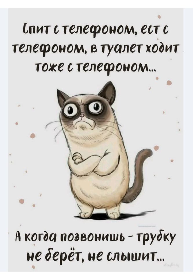 Спит с телефоном, ест с телефоном, в туалет ходит тоже с телефоном... А когда позвонишь - трубку не берёт, не слышит...