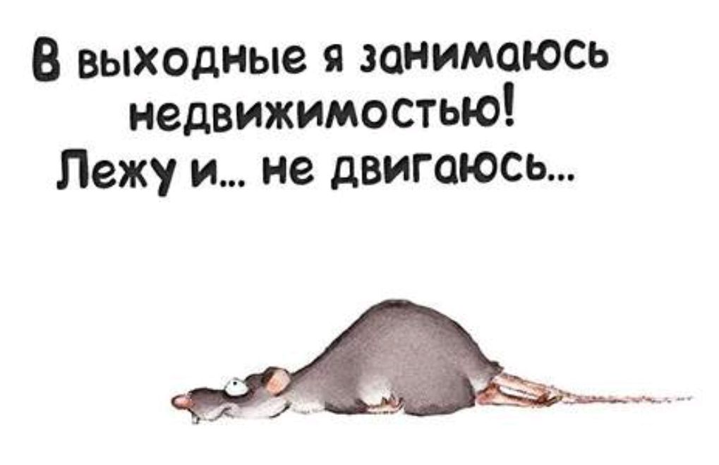 В выходные я занимаюсь недвижимостью! Лежу и... не двигаюсь...