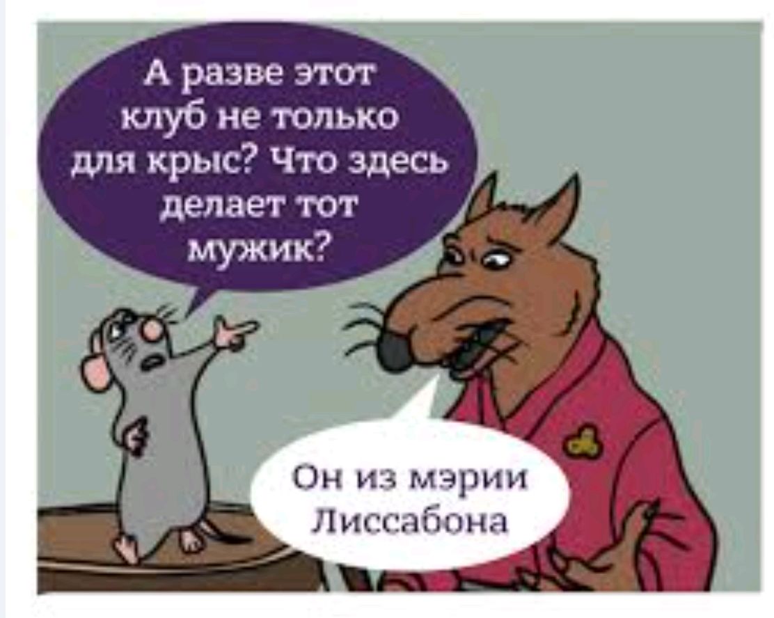 А разве этот клуб не только для крыс? Что здесь делает тот мужик? Он из мэрии Лиссабона.
