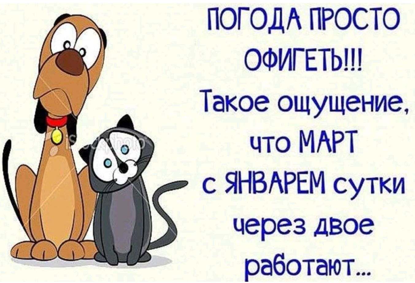 ПОГОДА ПРОСТО ОФИГЕТЬ!!! Такое ощущение, что МАРТ с ЯНВАРЕМ сутки через двое работают...