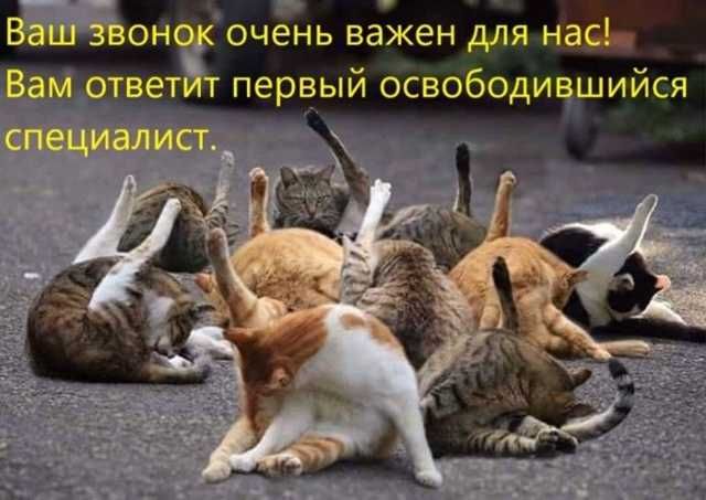 Ваш звонок очень важен для нас! Вам ответит первый освободившийся специалист.