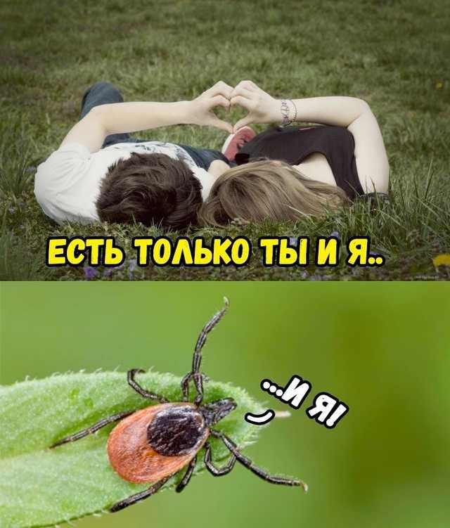 ЕСТЬ ТОЛЬКО ТЫ И Я.. и Я