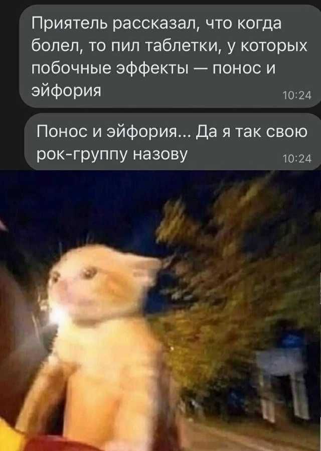 Приятель рассказал, что когда болел, то пил таблетки, у которых побочные эффекты — понос и эйфория.
Понос и эйфория... Да я так свою рок-группу назову.