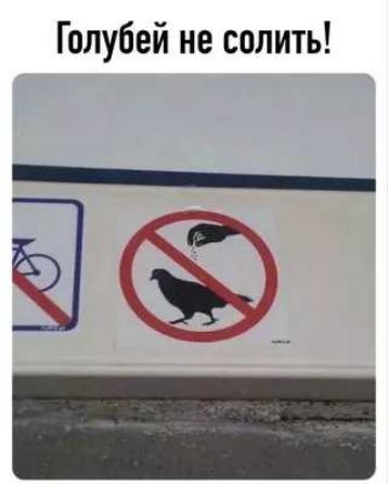 Голубей не солить!