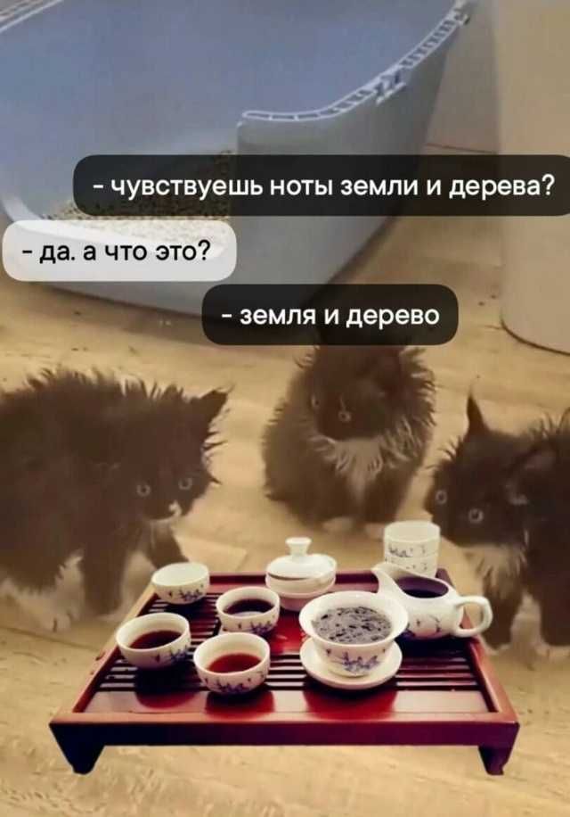 - чувствуешь ноты земли и дерева?
- да. а что это?
- земля и дерево