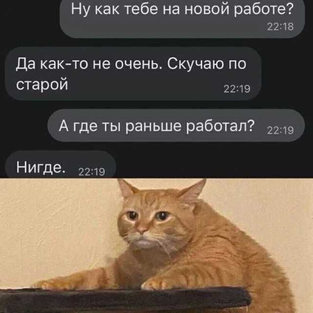 Ну как тебе на новой работе?
Да как-то не очень. Скучаю по старой
А где ты раньше работал?
Нигде.