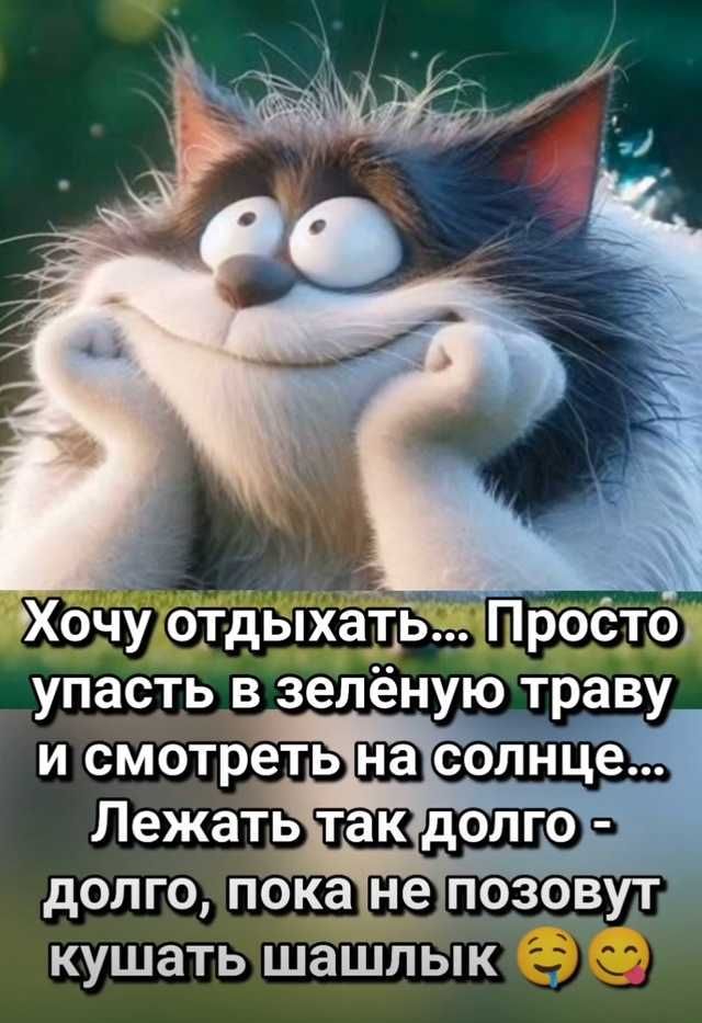 Хочу отдыхать... Просто упасть в зелёную траву и смотреть на солнце... Лежать так долго - долго, пока не позовет кушать шашлыки 😏😊