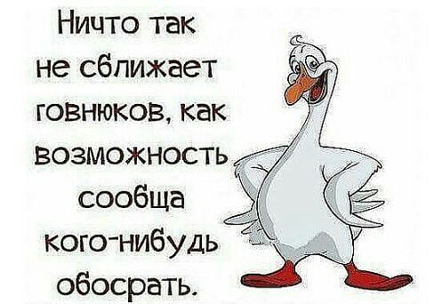 Ничто так не сближает говнюков как возможность сообща кого нибудь обосрать