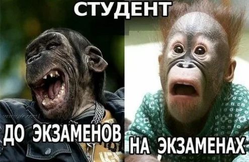 СТУДЕНТ ДО ЭКЗАМЕНОВ НА ЭКЗАМЕНАХ