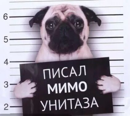 ПИСАЛ МИМО УНИТАЗА