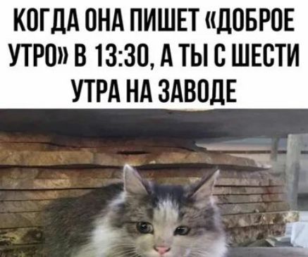 КОГДА ОНА ПИШЕТ «ДОБРОЕ УТРО» В 13:30, А ТЫ С ШЕСТИ УТРА НА ЗАВОДЕ