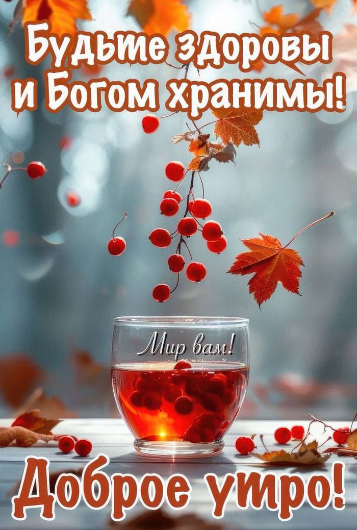 Будьте здоровы и Богом хранимы!
Мир вам!
Доброе утро!
