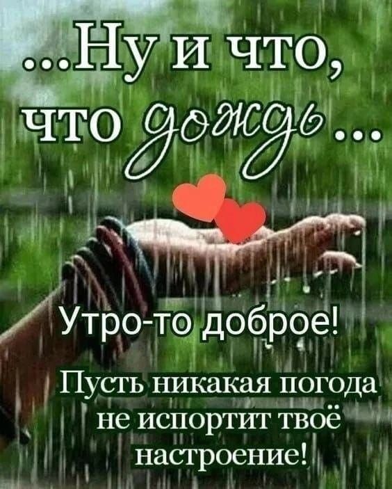 ...Ну и что, что дождь ... Утро-то доброе! Пусть никакая погода не испортит твоё настроение!
