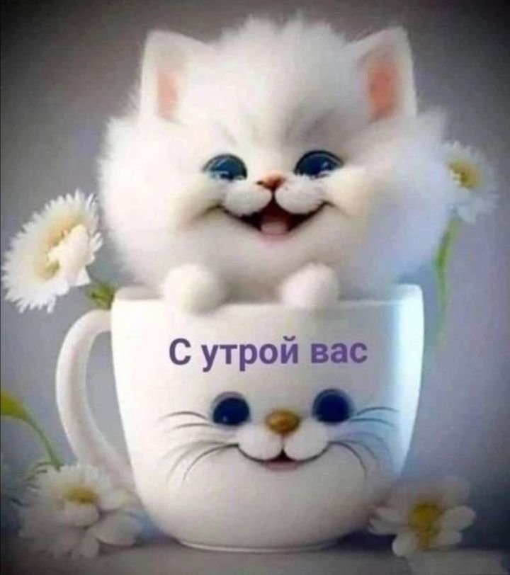 С утрóй вас