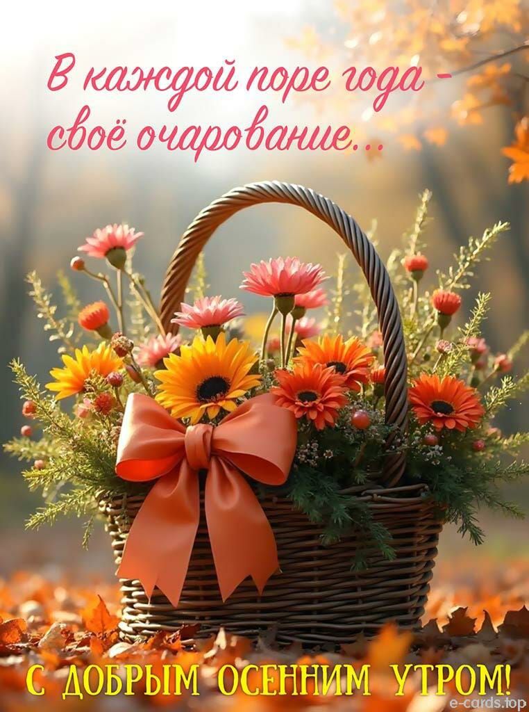 В каждой поре года - своё очарование... С ДОБРЫМ ОСЕННИМ УТРОМ!