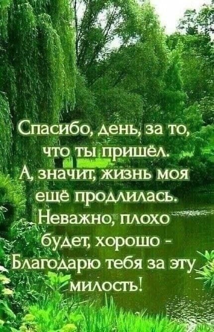 Спасибо, день, за то, что ты пришёл. А, значит, жизнь моя ещё продлилась. Неважно, плохо будет, хорошо - Благодарю тебя за эту милость!