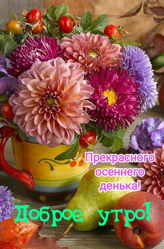 Доброе утро! Прекрасного осеннего денёк!