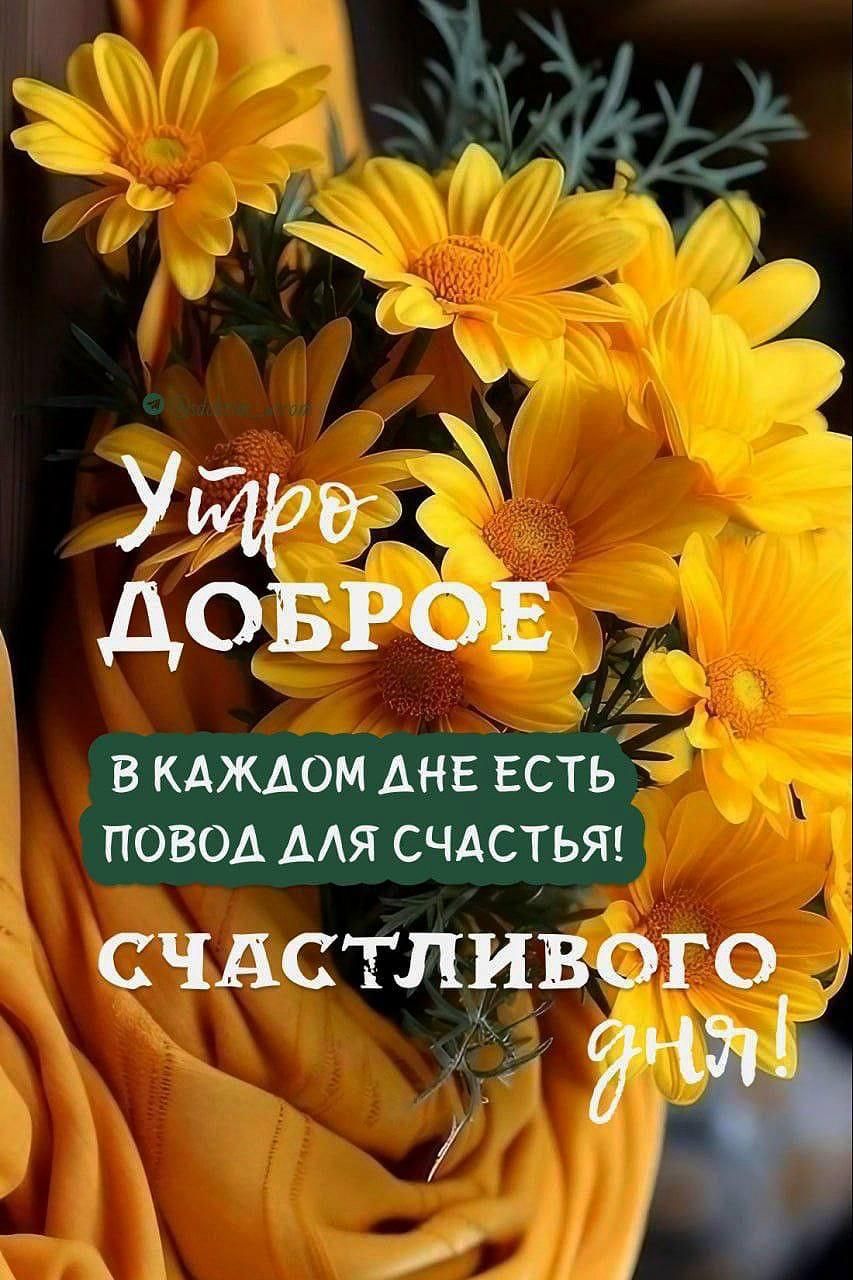 Утро доброе. В каждом дне есть повод для счастья! Счастливого дня!